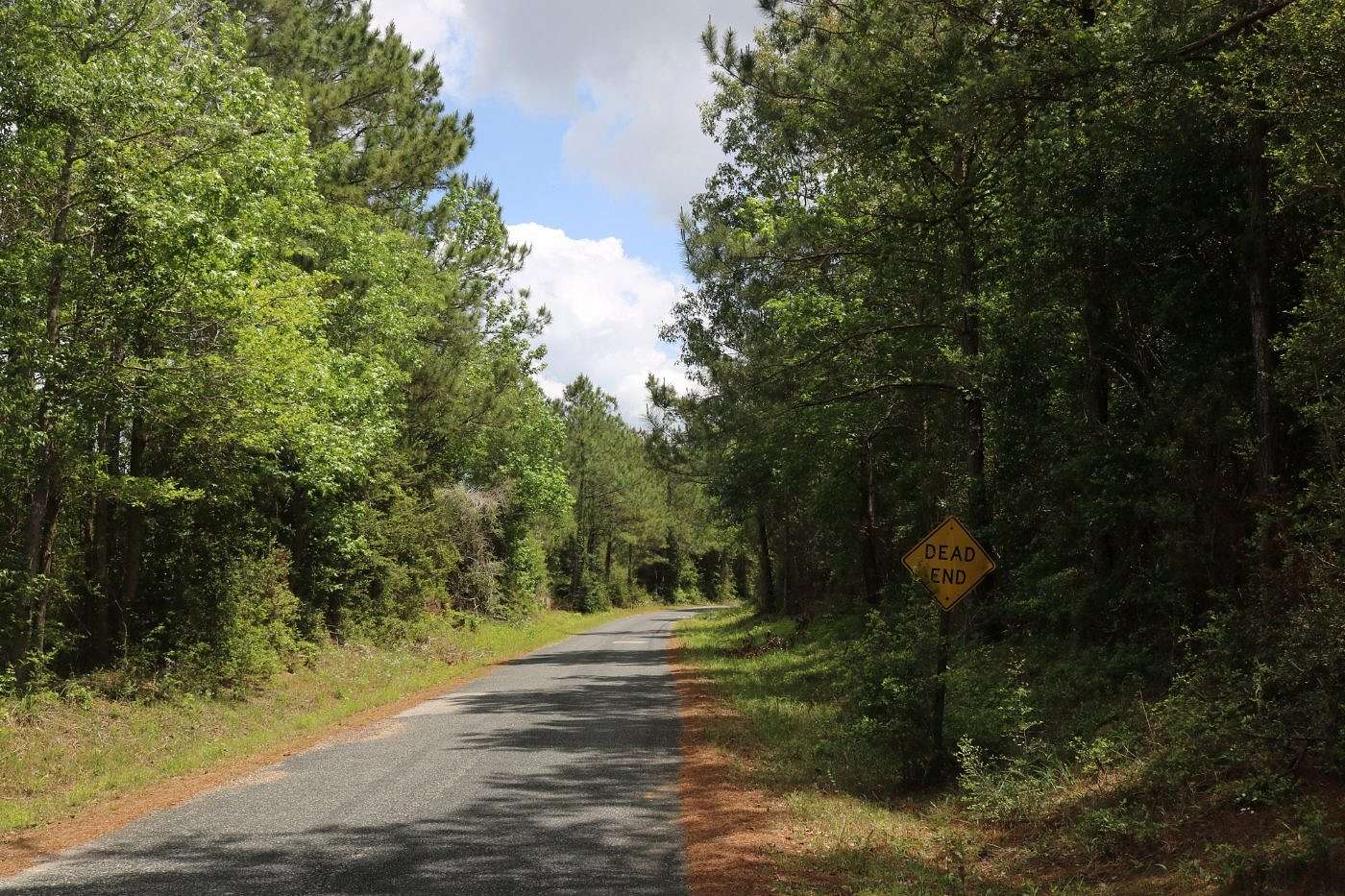 42 Acres of Recreational Land for Sale in DeQuincy, Louisiana