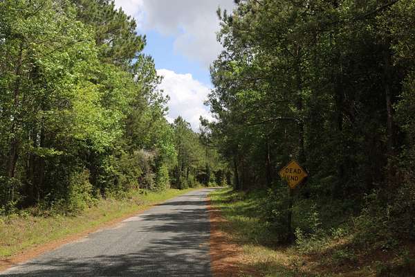 42 Acres of Recreational Land for Sale in DeQuincy, Louisiana