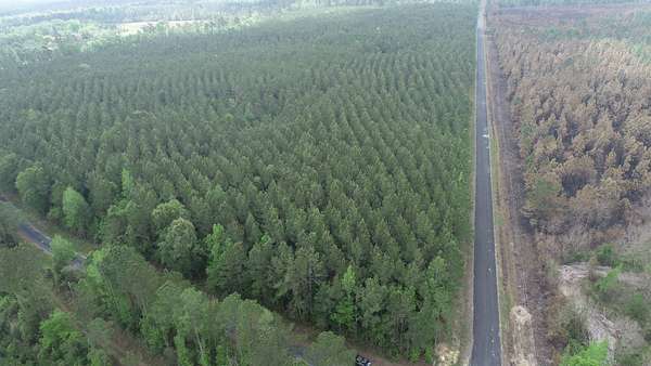 40 Acres of Recreational Land for Sale in DeQuincy, Louisiana