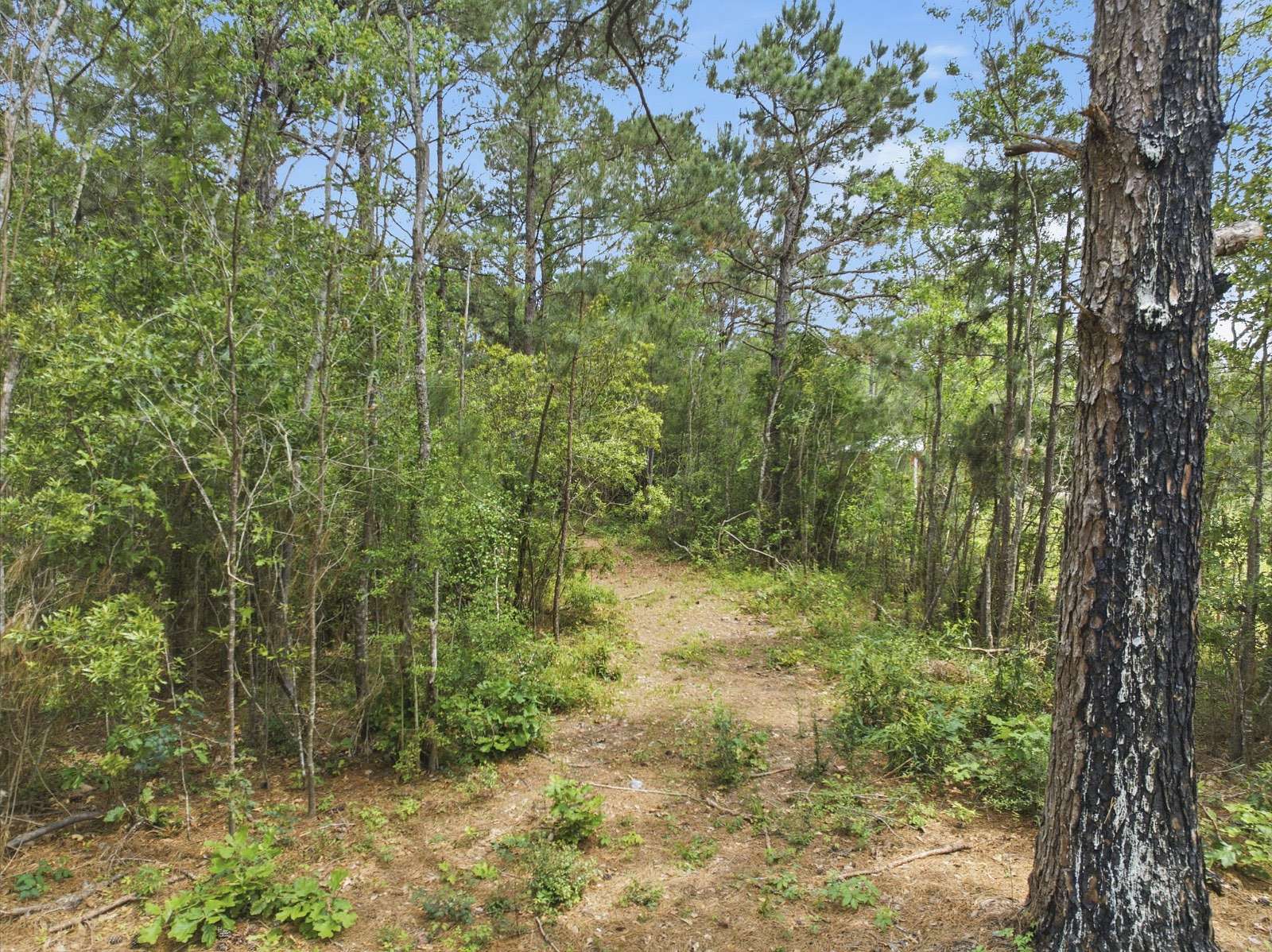 4.65 Acres of Residential Land for Sale in Jennings, Louisiana