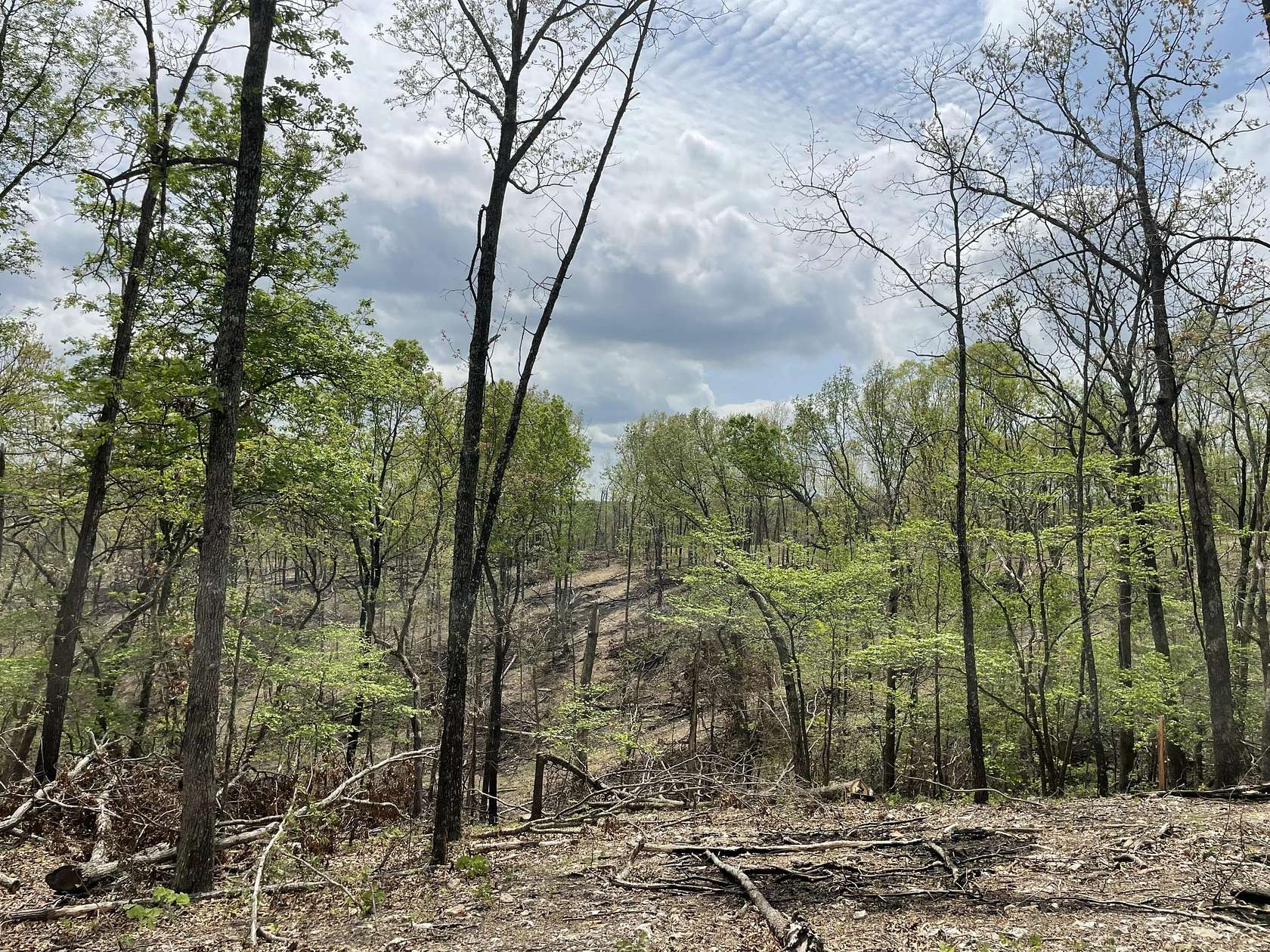 40 Acres of Recreational & Residential Land for Sale in Ava, Missouri