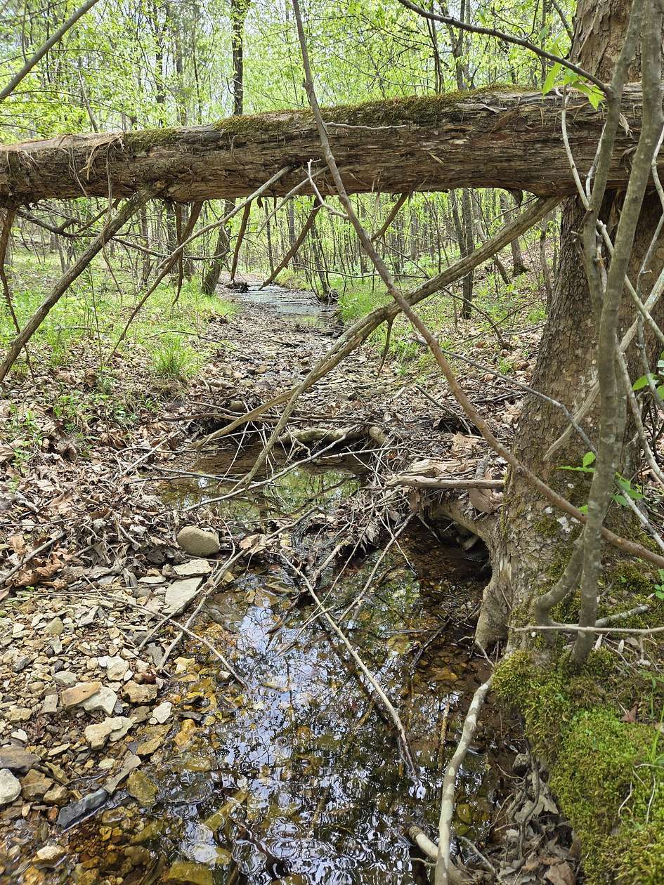 9.62 Acres of Land for Sale in Hohenwald, Tennessee