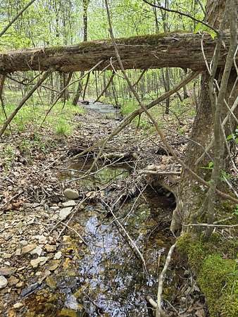 9.62 Acres of Land for Sale in Hohenwald, Tennessee