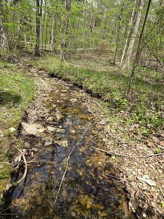 9.62 Acres of Land for Sale in Hohenwald, Tennessee