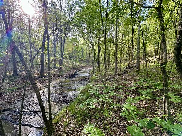 9.62 Acres of Land for Sale in Hohenwald, Tennessee