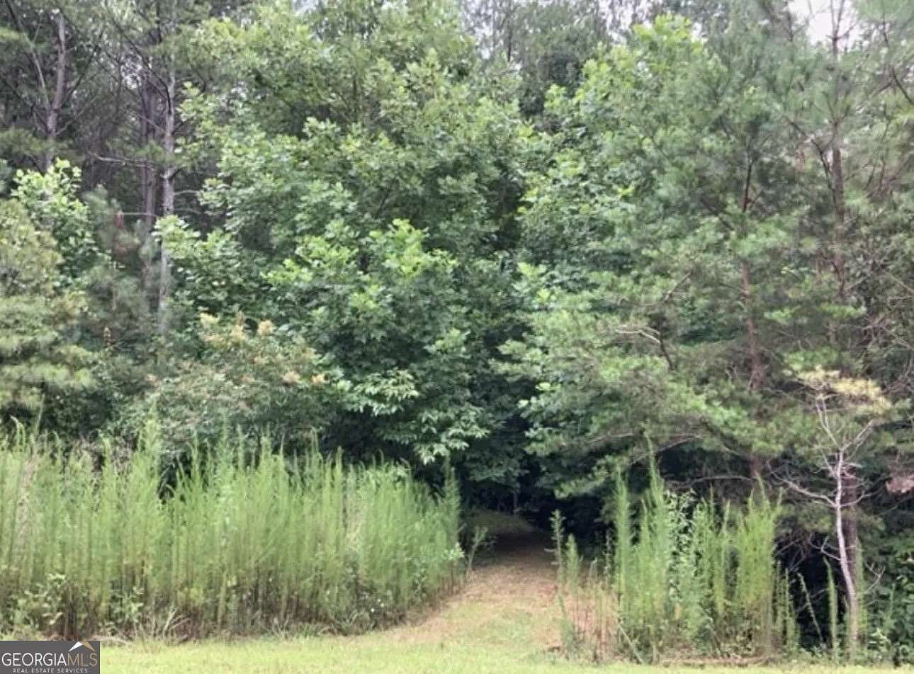 3 Acres of Residential Land for Sale in Ellijay, Georgia