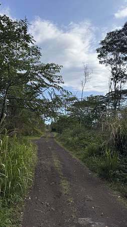 0.19 Acres of Land for Sale in Kurtistown, Hawaii