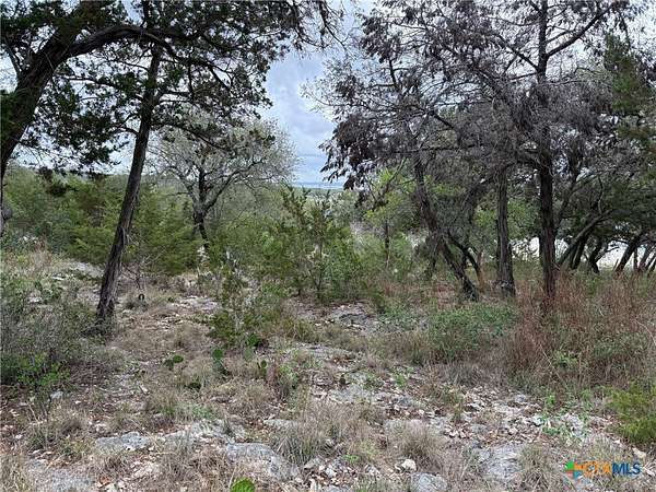 4.29 Acres of Residential Land for Sale in Canyon Lake, Texas