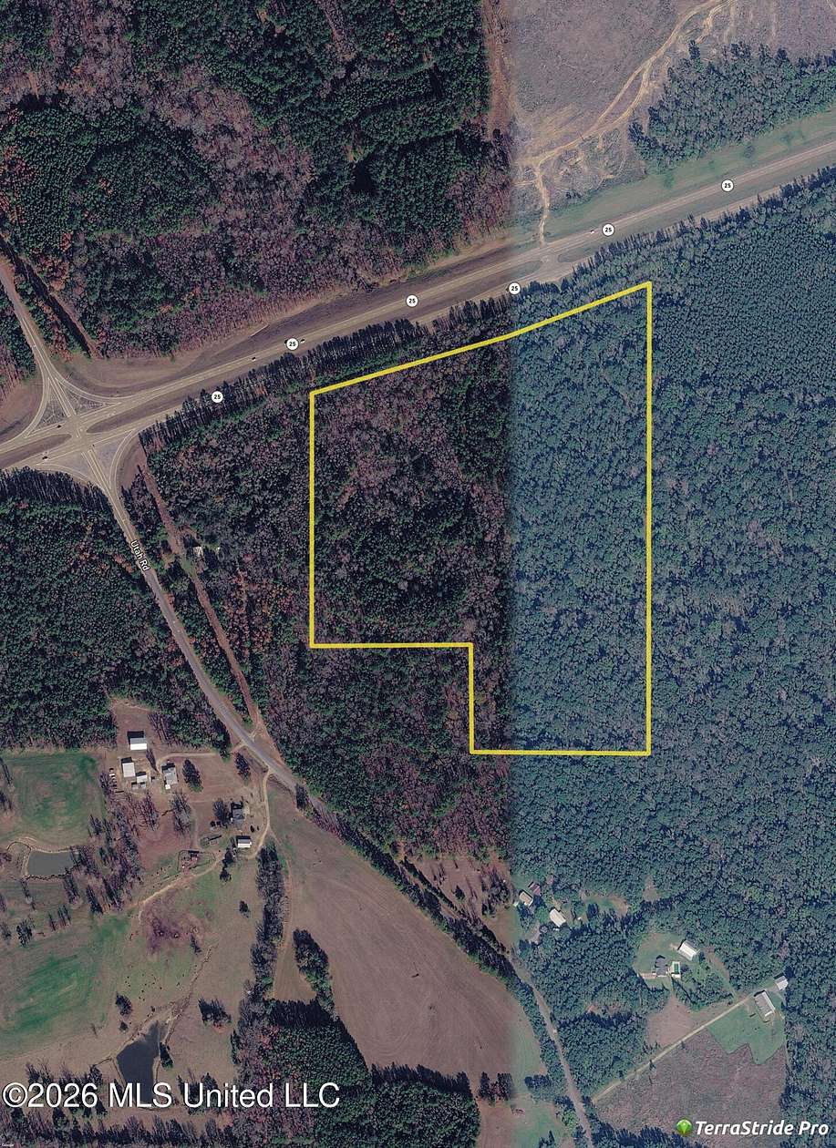 40 Acres of Recreational & Residential Land for Sale in Lena, Mississippi