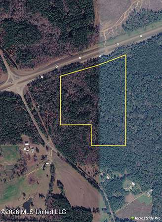 40 Acres of Recreational & Residential Land for Sale in Lena, Mississippi