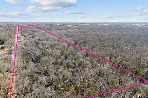 20.2 Acres of Land for Sale in Edgewood, Texas