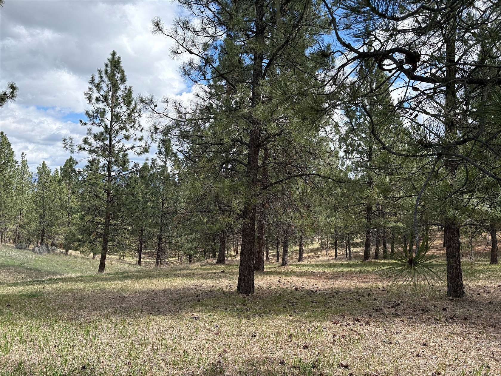 2 Acres of Residential Land for Sale in Stevensville, Montana