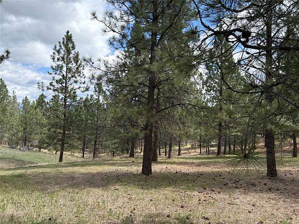 2 Acres of Residential Land for Sale in Stevensville, Montana