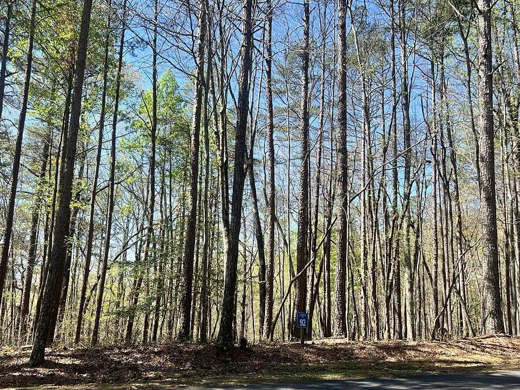 1 Acre of Residential Land for Sale in Ellijay, Georgia