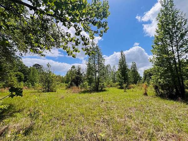 1.14 Acres of Residential Land for Sale in Bronson, Texas