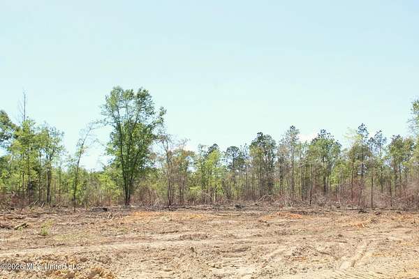 3.67 Acres of Residential Land for Sale in Lucedale, Mississippi