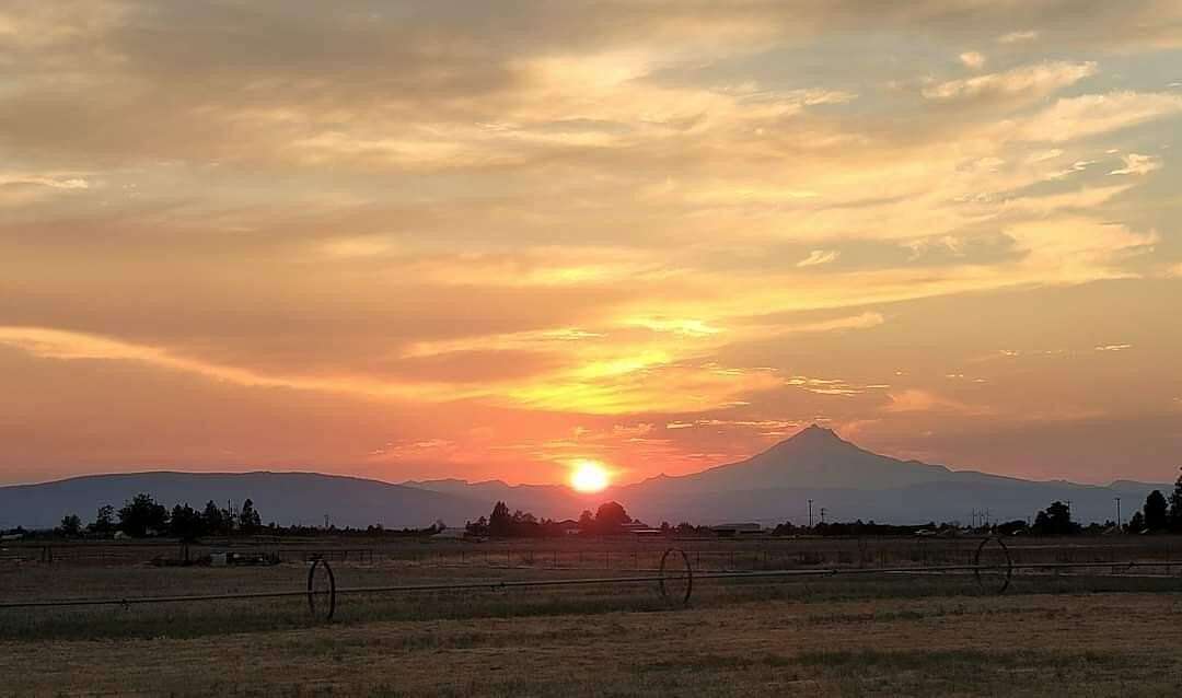 39.1 Acres of Agricultural Land with Home for Sale in Culver, Oregon