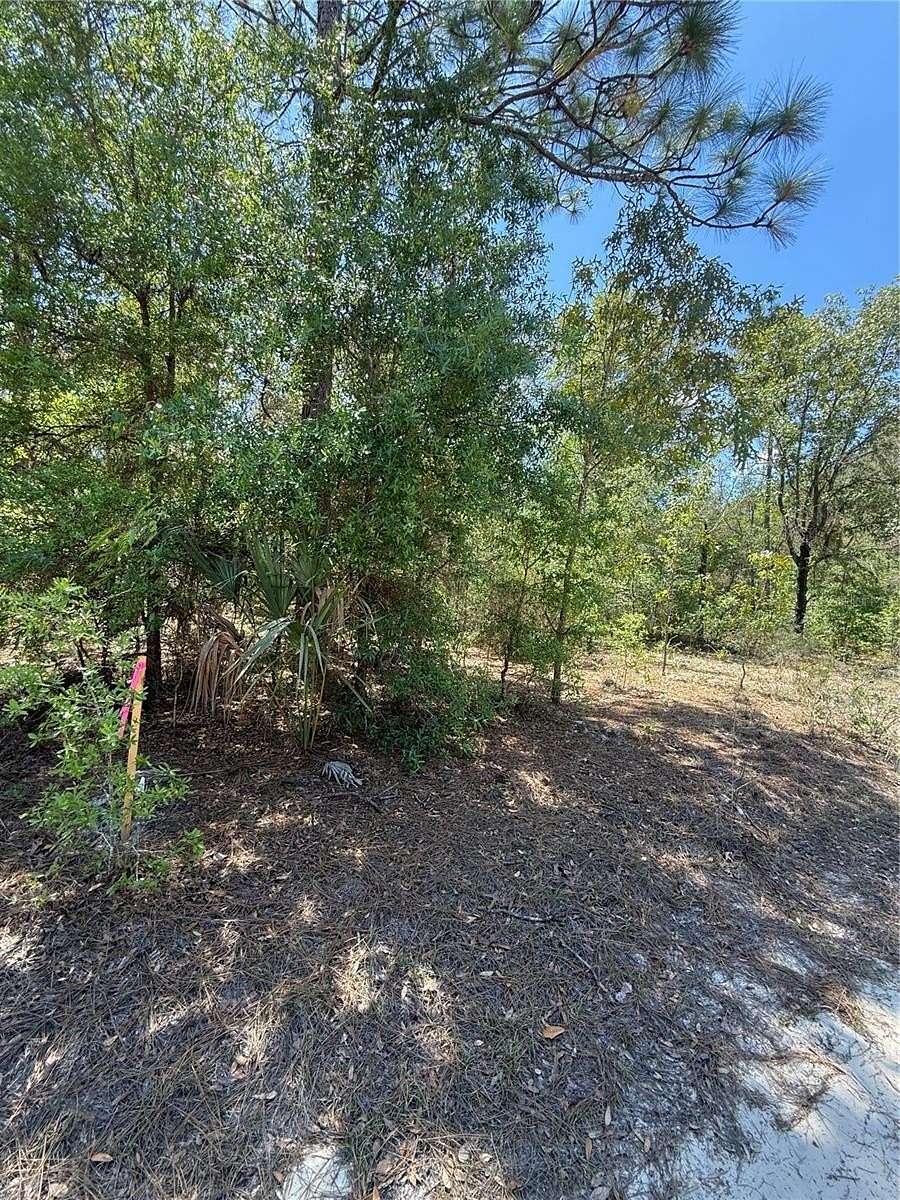 1.25 Acres of Residential Land for Sale in Bronson, Florida