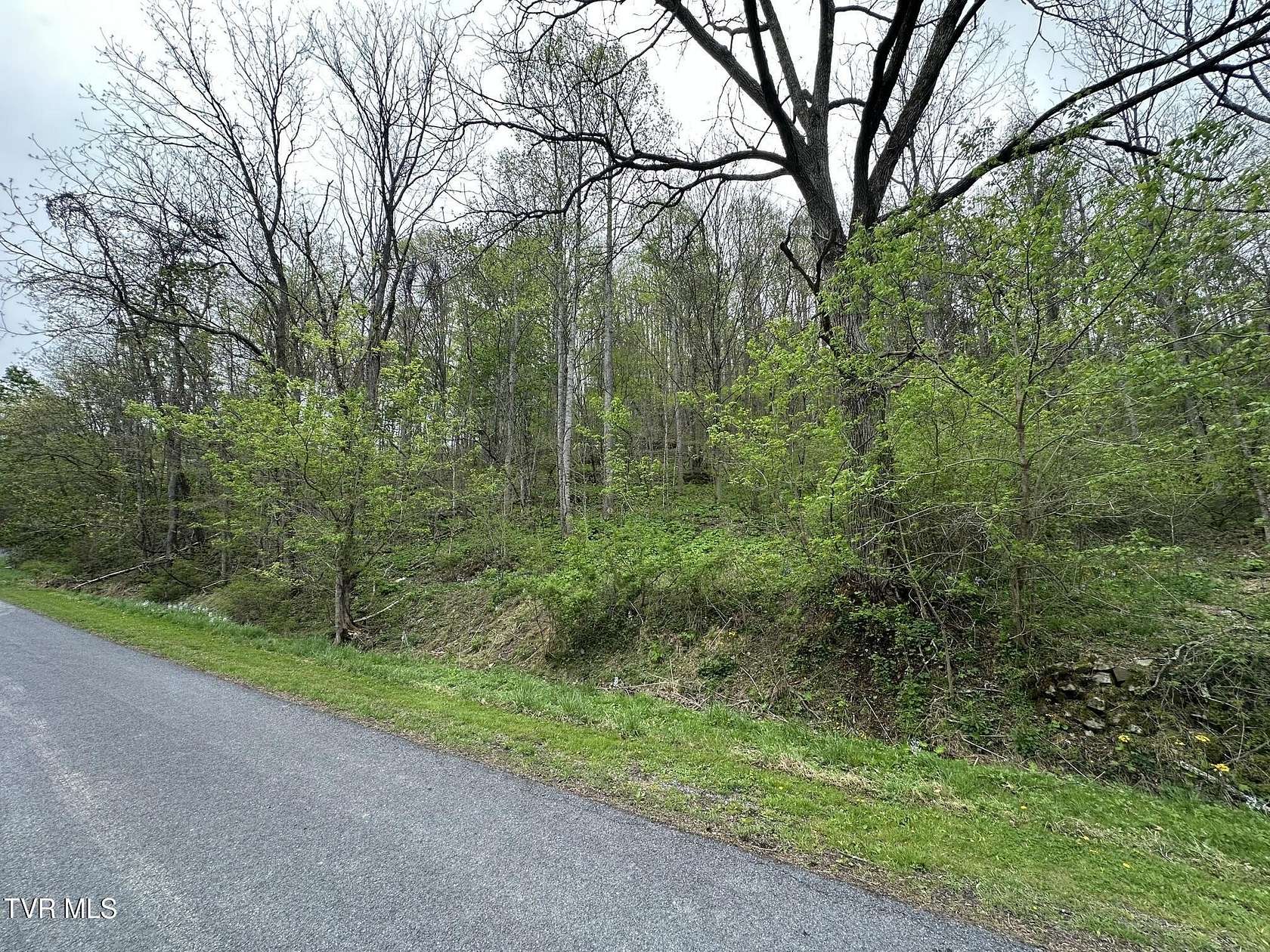 89.3 Acres of Recreational Land for Sale in Bristol, Virginia