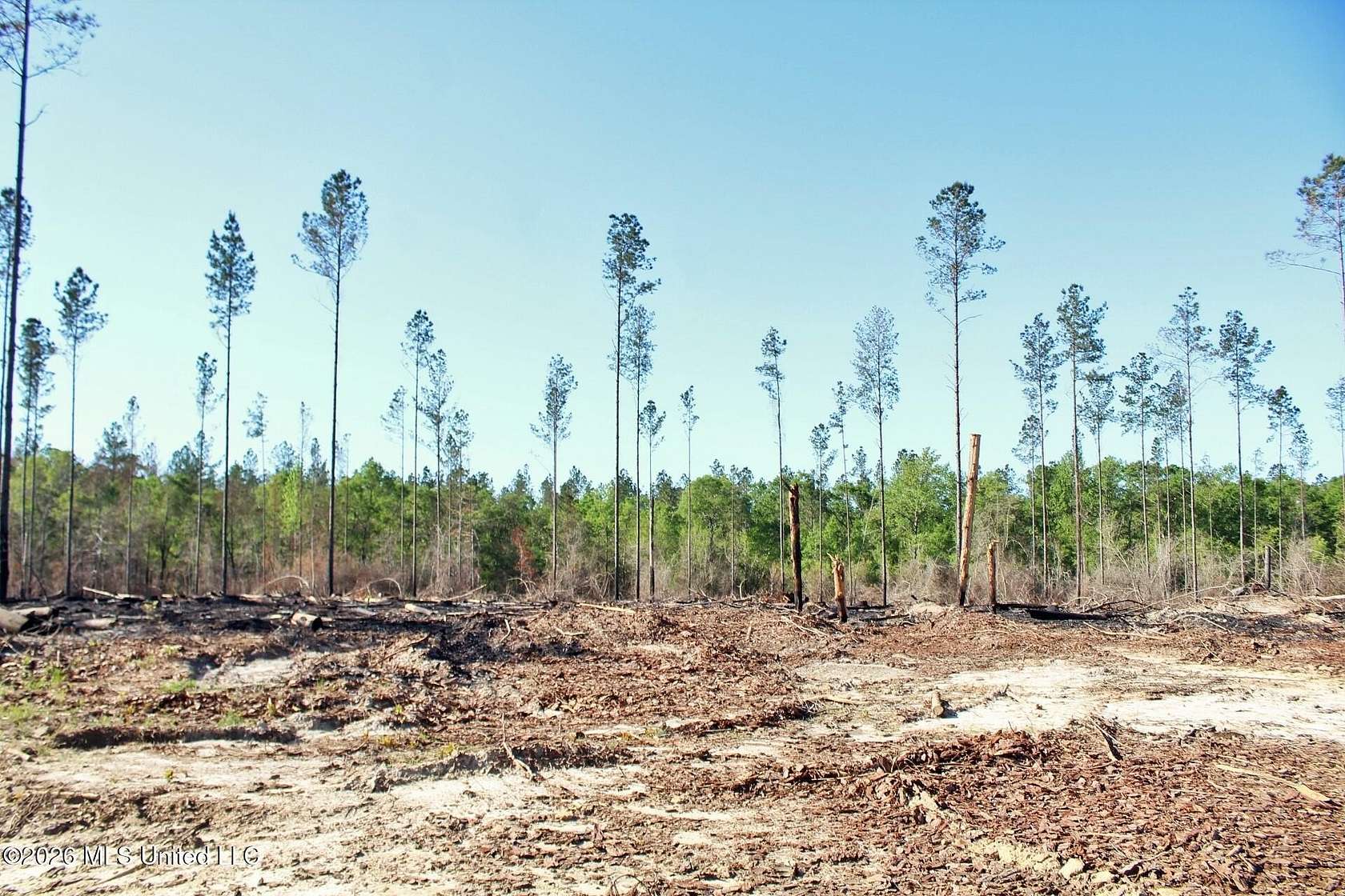 10.3 Acres of Land for Sale in Lucedale, Mississippi