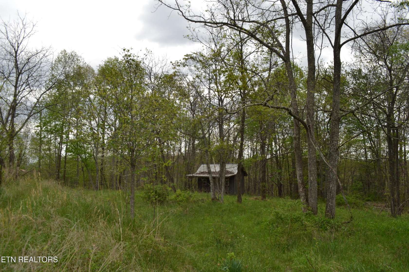 143 Acres of Land for Sale in Deer Lodge, Tennessee