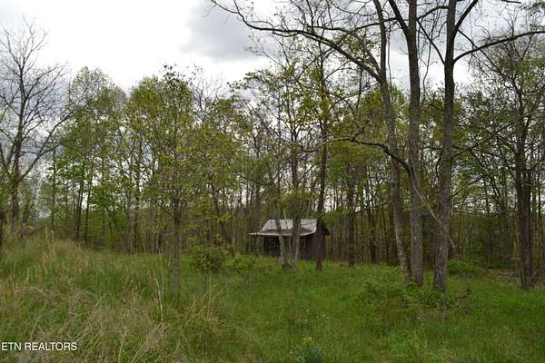 143 Acres of Land for Sale in Deer Lodge, Tennessee