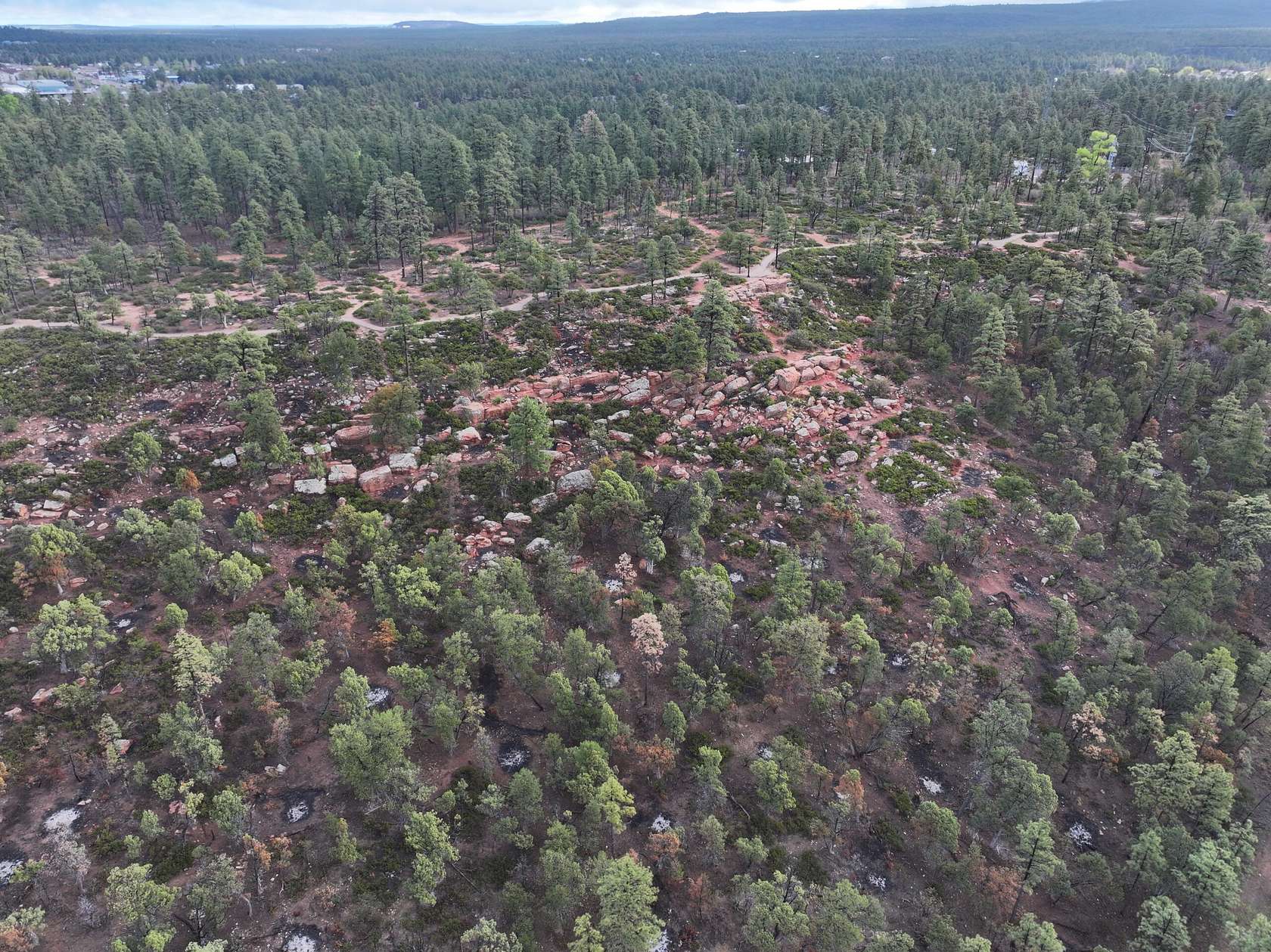 148 Acres of Land for Sale in Pinetop-Lakeside, Arizona