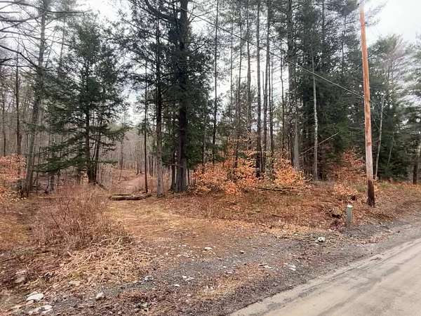 41 Acres of Recreational Land for Sale in Petersburg, New York
