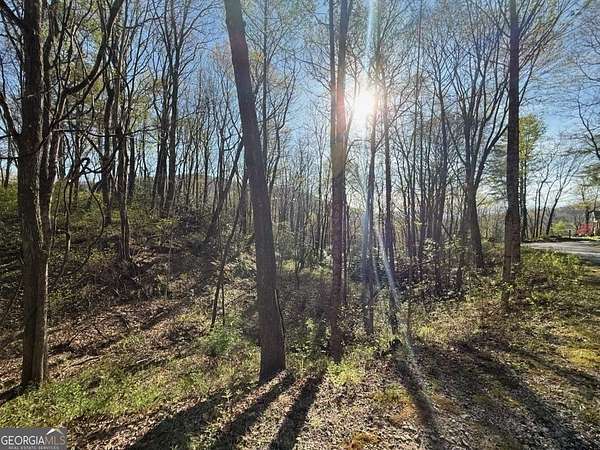 Residential Land for Sale in Sky Valley, Georgia