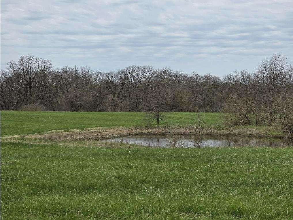 35.5 Acres of Land for Sale in Holden, Missouri