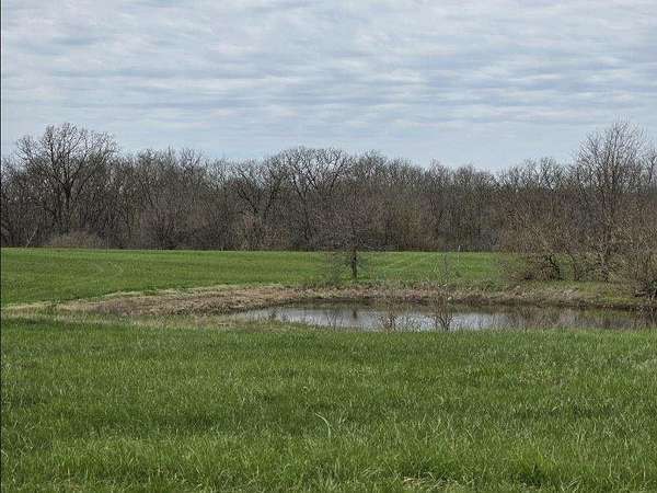 35.5 Acres of Land for Sale in Holden, Missouri
