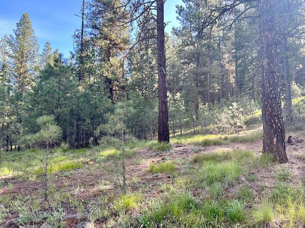 6 Acres of Residential Land for Sale in New Meadows, Idaho