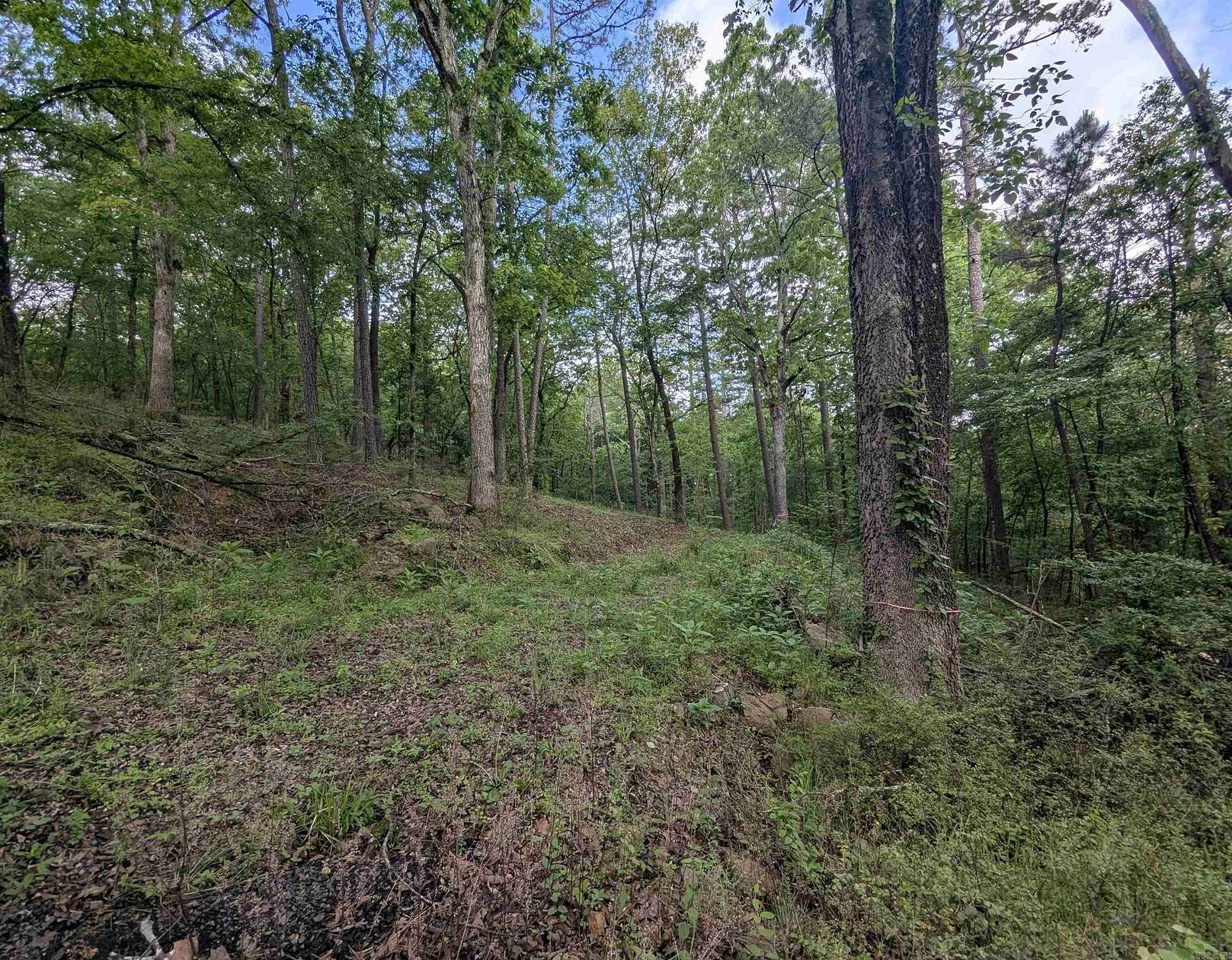 0.85 Acres of Residential Land for Sale in Hot Springs, Arkansas