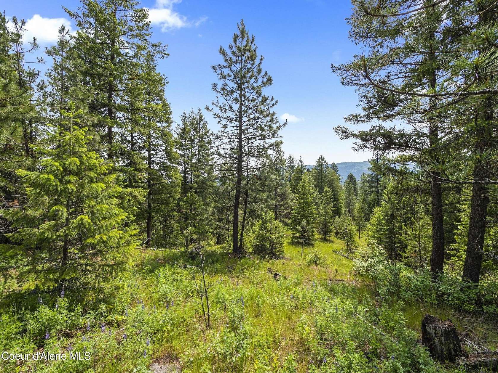 5.13 Acres of Land for Sale in Blanchard, Idaho