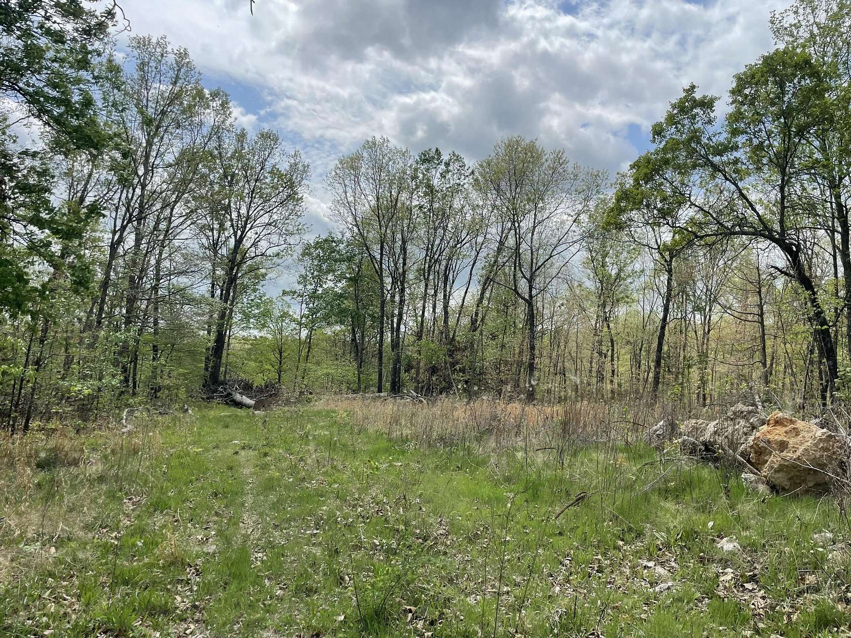 20 Acres of Recreational & Residential Land for Sale in Ava, Missouri