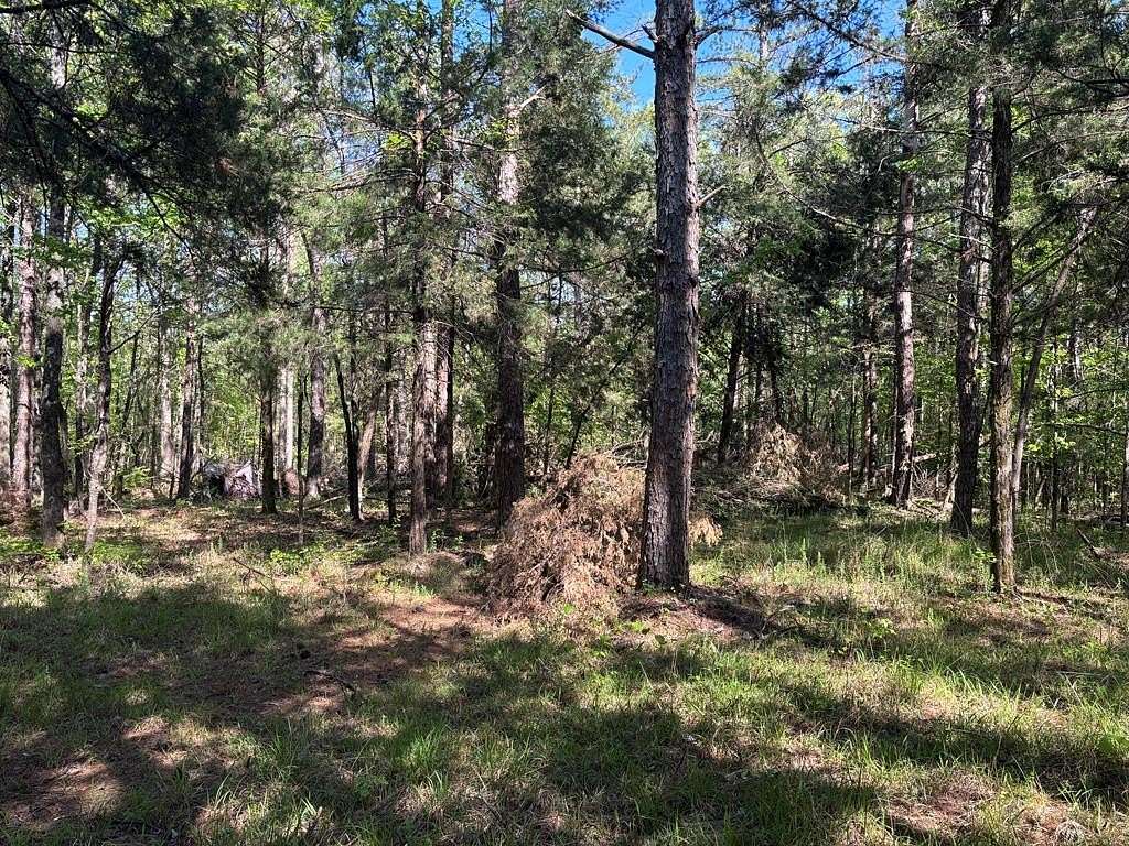 20 Acres of Land for Sale in Thaxton, Mississippi