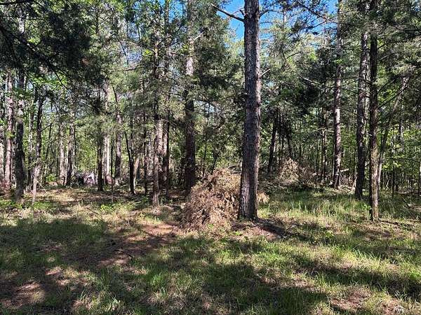 20 Acres of Land for Sale in Thaxton, Mississippi