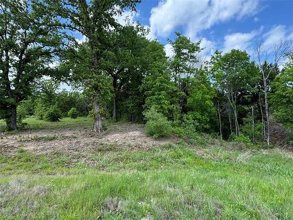 1.2 Acres of Residential Land for Sale in Nemo, Texas