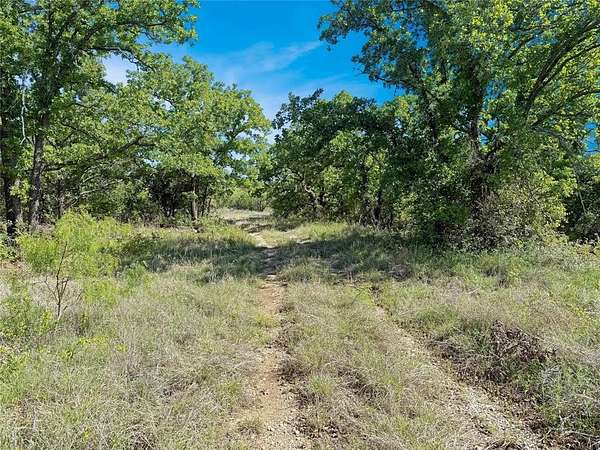 150 Acres of Recreational & Residential Land for Sale in Cisco, Texas