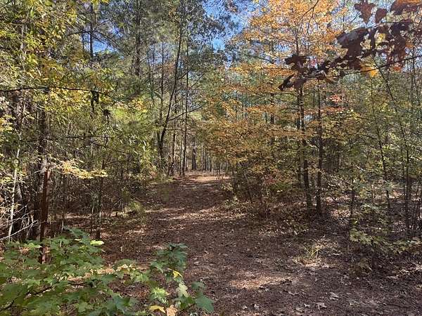 2 Acres of Residential Land for Sale in Clarksville, Texas