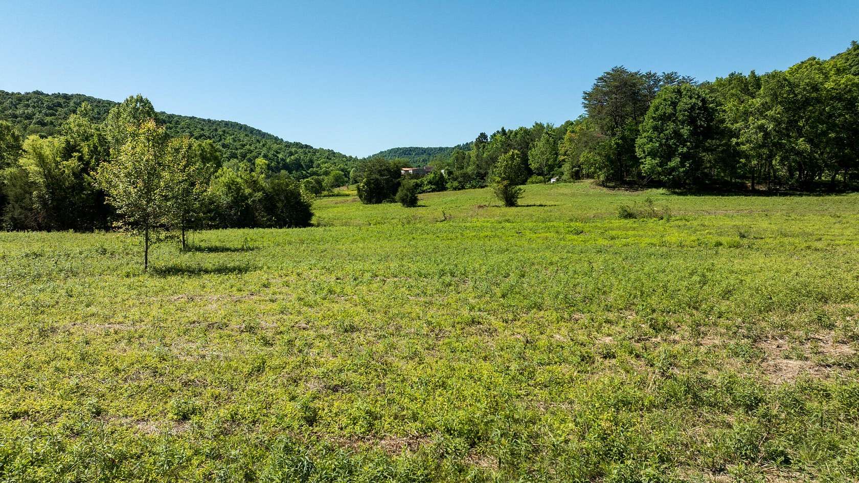 11 Acres of Land for Sale in Monticello, Kentucky