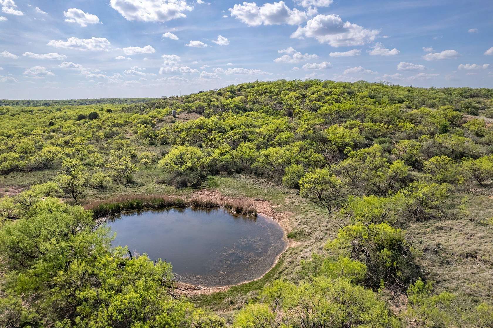 55 Acres of Land for Sale in Santa Anna, Texas
