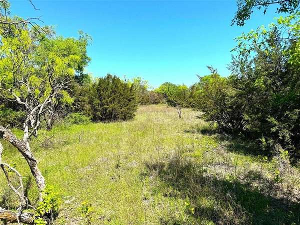 50 Acres of Recreational & Residential Land for Sale in Weatherford, Texas