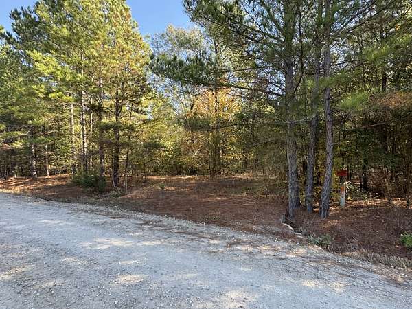 1.65 Acres of Residential Land for Sale in Clarksville, Texas