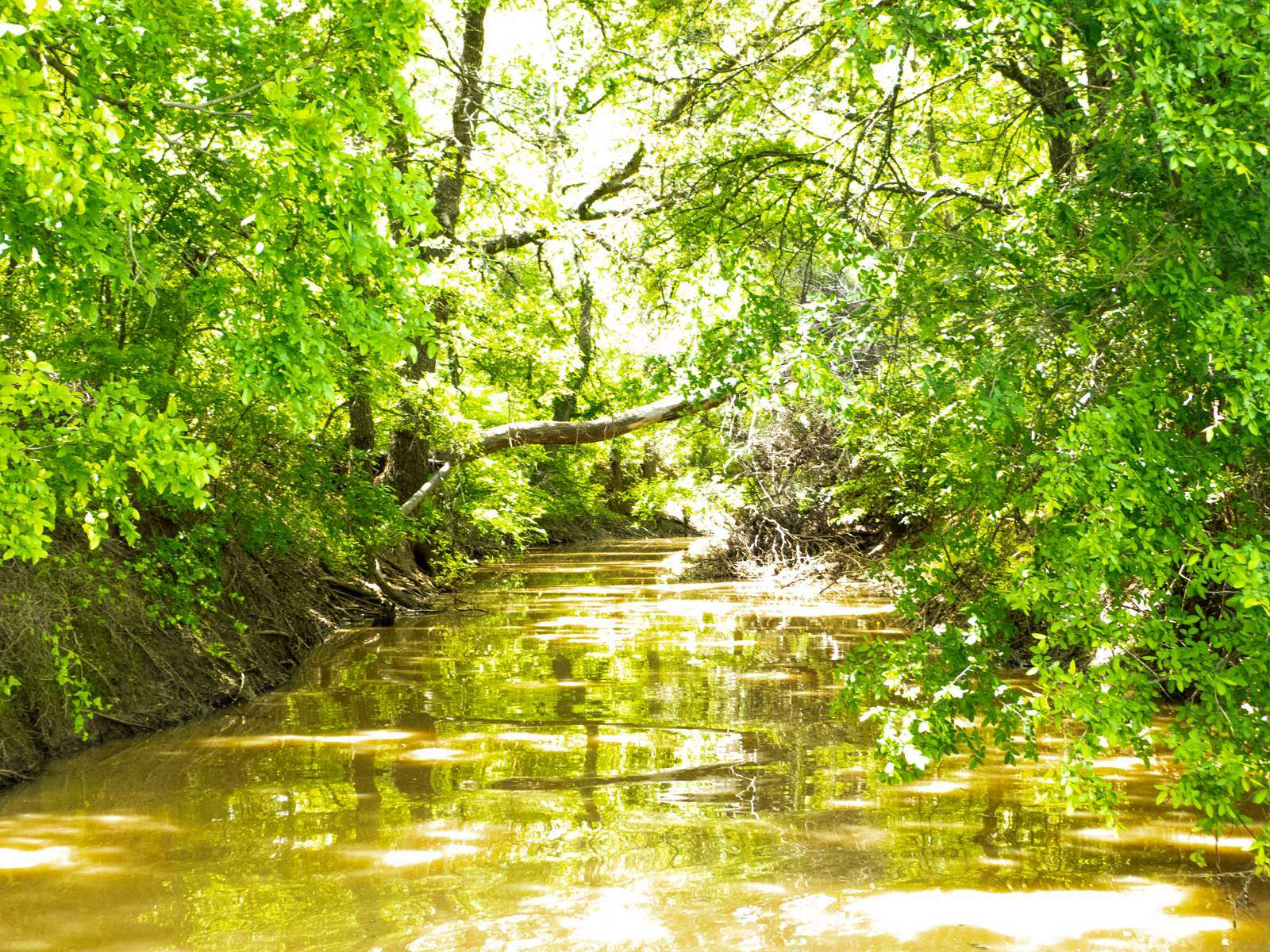 38 Acres of Land for Sale in Bangs, Texas