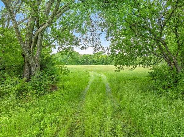 11.7 Acres of Land for Sale in Wills Point, Texas