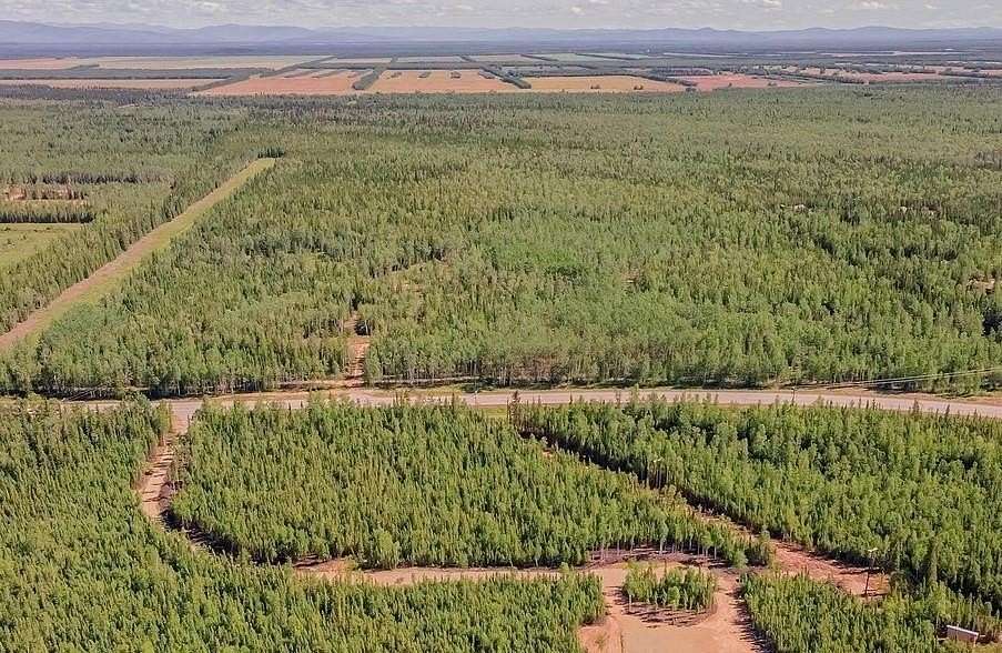 2.57 Acres of Residential Land for Sale in Delta Junction, Alaska