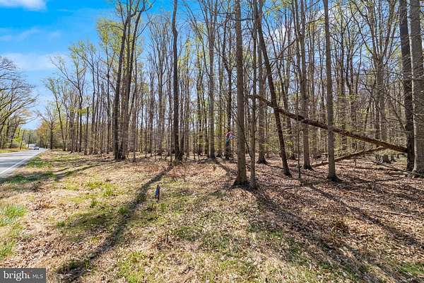 5 Acres of Residential Land for Sale in White Plains, Maryland