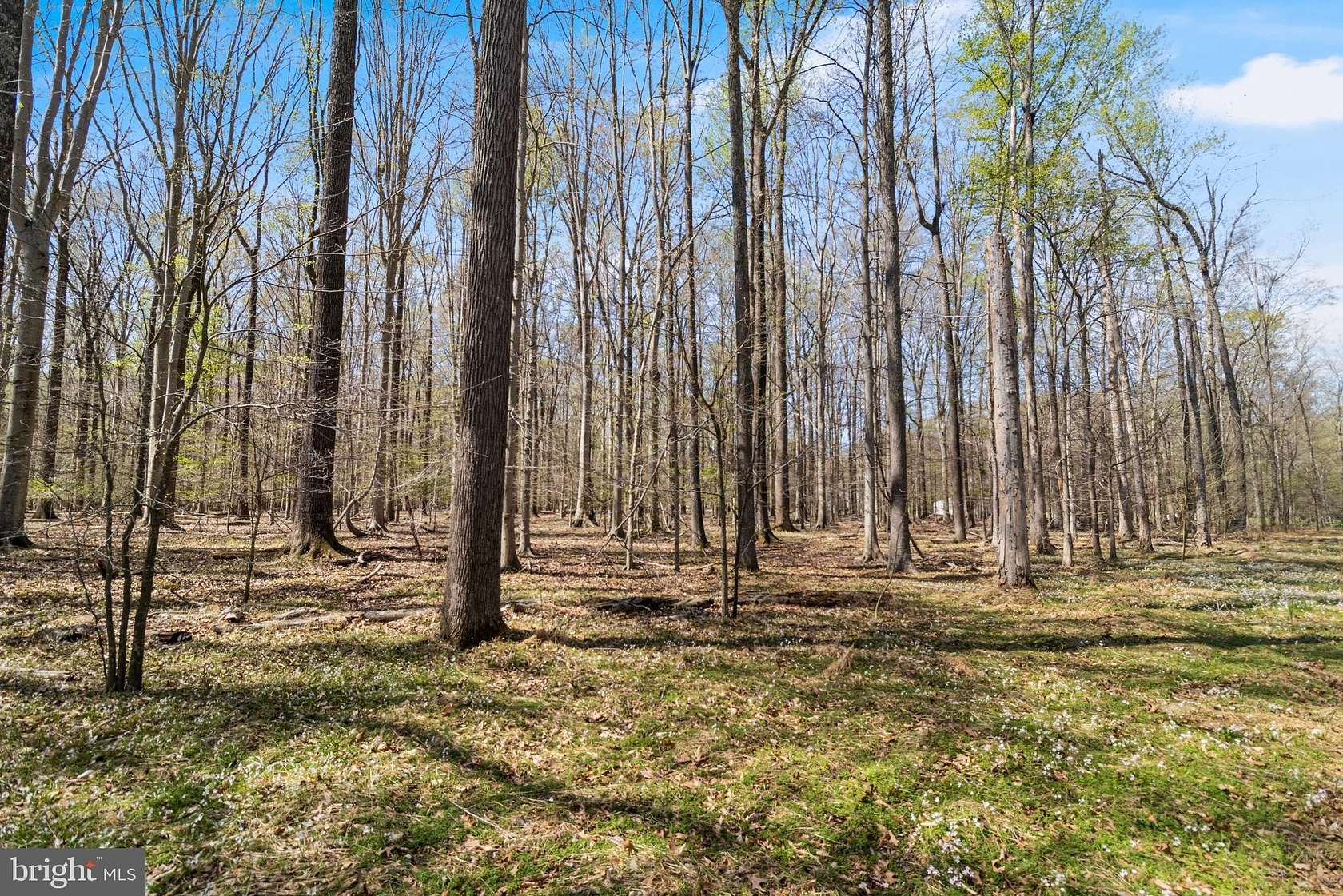 5 Acres of Residential Land for Sale in White Plains, Maryland