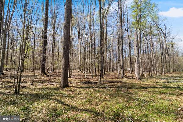 5 Acres of Residential Land for Sale in White Plains, Maryland